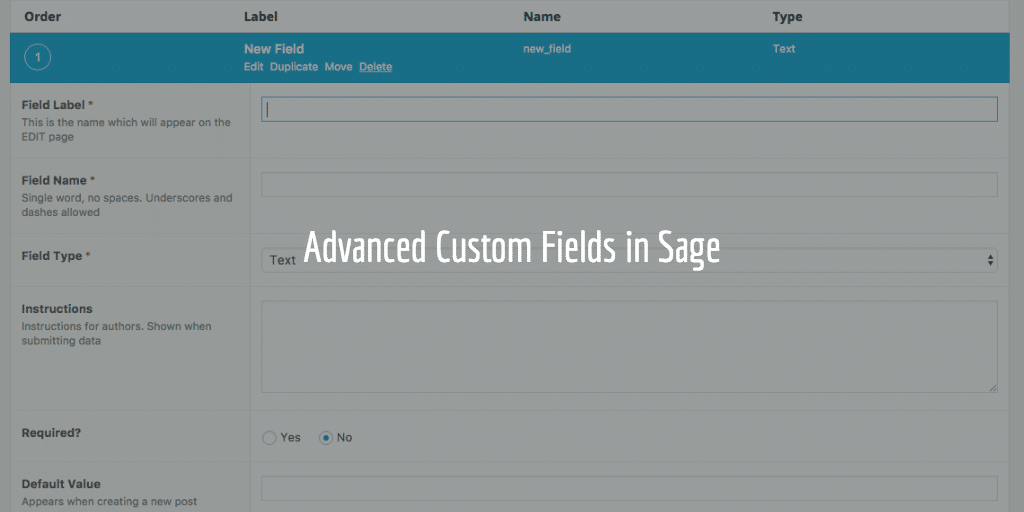 Advanced Custom Fields in Sage