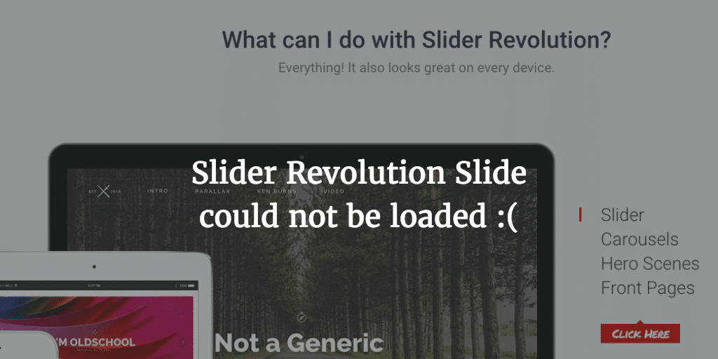 Slider Revolution Slide could not be loaded