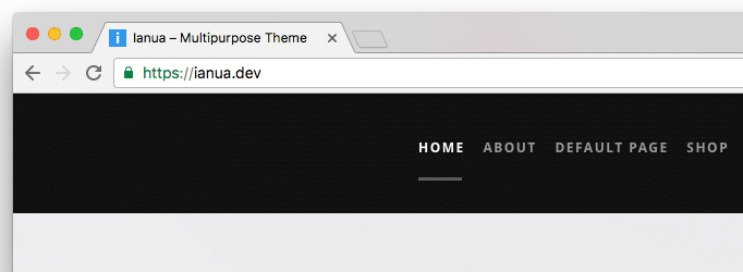 Favicon Display in Browser