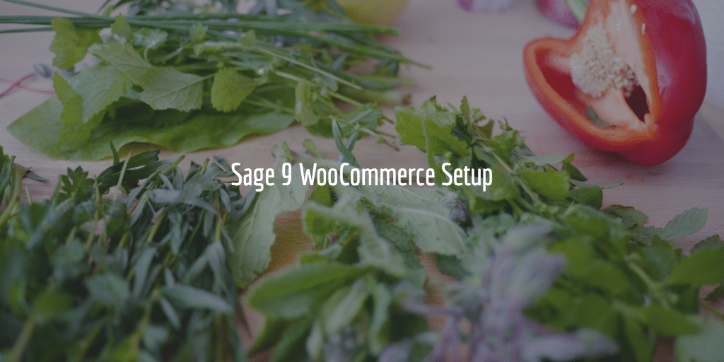 Sage 9 WooCommerce Setup