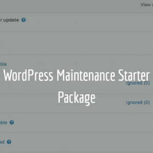WordPress Maintenance Starter Package